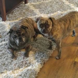 Meet your Posher, Keith